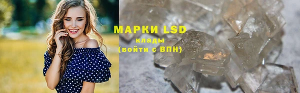ПСИЛОЦИБИНОВЫЕ ГРИБЫ Осинники